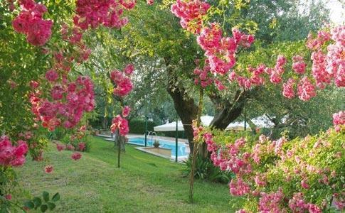 Hotel Villa Vecchia Monte Porzio Catone Exterior photo